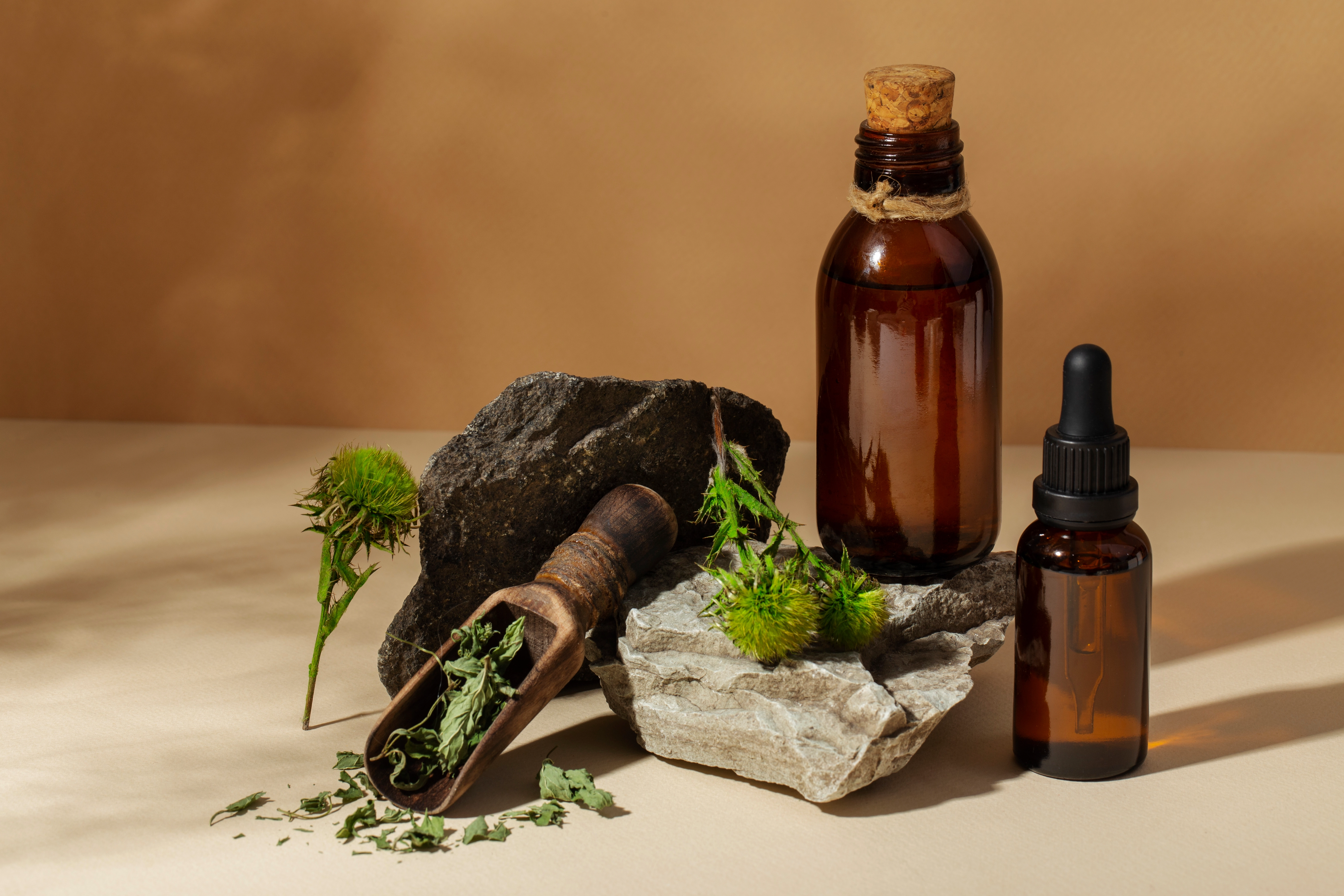 Bioextracta | Aceites vegetales, esenciales y extractos naturales en ...